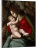 Madonna and Child, possibly early 1520s by Bacchiacca
