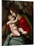 Madonna and Child, possibly early 1520s by Bacchiacca