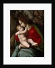 Madonna and Child, possibly early 1520s by Bacchiacca
