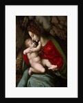 Madonna and Child, possibly early 1520s by Bacchiacca