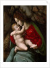 Madonna and Child, possibly early 1520s by Bacchiacca