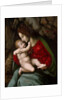 Madonna and Child, possibly early 1520s by Bacchiacca