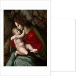 Madonna and Child, possibly early 1520s by Bacchiacca