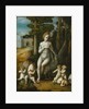Leda and the Swan by Bacchiacca