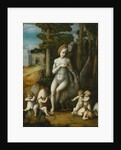 Leda and the Swan by Bacchiacca