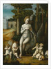 Leda and the Swan by Bacchiacca
