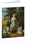 Leda and the Swan by Bacchiacca