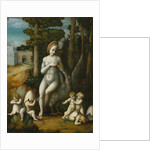 Leda and the Swan by Bacchiacca