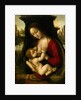 Madonna and Child by Bernardino de'Conti