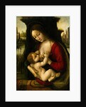 Madonna and Child by Bernardino de'Conti