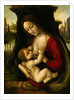 Madonna and Child by Bernardino de'Conti