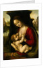 Madonna and Child by Bernardino de'Conti