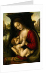 Madonna and Child by Bernardino de'Conti
