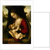 Madonna and Child by Bernardino de'Conti