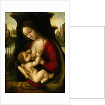 Madonna and Child by Bernardino de'Conti