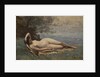 Bacchante by the Sea, 1865 by Jean-Baptiste-Camille Corot