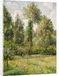 Poplars, Éragny, 1895 by Camille Pissarro