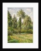 Poplars, Éragny, 1895 by Camille Pissarro