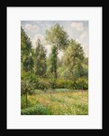 Poplars, Éragny, 1895 by Camille Pissarro
