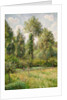 Poplars, Éragny, 1895 by Camille Pissarro