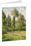 Poplars, Éragny, 1895 by Camille Pissarro