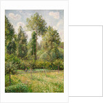 Poplars, Éragny, 1895 by Camille Pissarro