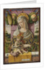 Madonna and Child, ca. 1480 by Carlo Crivelli