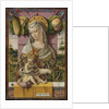 Madonna and Child, ca. 1480 by Carlo Crivelli