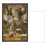 Madonna and Child, ca. 1480 by Carlo Crivelli