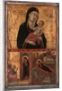 Madonna and Child with the Annunciation and the Nativity, ca. 1310-15 by Goodhart Master