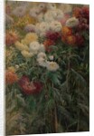 Chrysanthemums in the Garden at Petit-Gennevilliers, 1893 by Gustave Caillebotte
