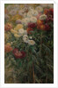 Chrysanthemums in the Garden at Petit-Gennevilliers, 1893 by Gustave Caillebotte