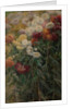 Chrysanthemums in the Garden at Petit-Gennevilliers, 1893 by Gustave Caillebotte