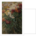 Chrysanthemums in the Garden at Petit-Gennevilliers, 1893 by Gustave Caillebotte