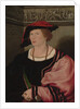 Benedikt von Hertenstein, 1517 by Hans Holbein the Younger