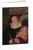 Benedikt von Hertenstein, 1517 by Hans Holbein the Younger