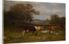 From Shifting Shade, 1887 by James McDougal Hart