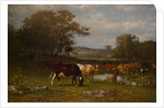 From Shifting Shade, 1887 by James McDougal Hart
