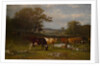 From Shifting Shade, 1887 by James McDougal Hart