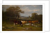 From Shifting Shade, 1887 by James McDougal Hart