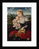 Virgin and Child, ca. 1525 by Joos van Cleve