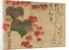 Autumn Ivy, after 1732 by Ogata Kenzan