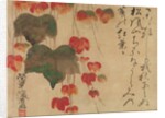 Autumn Ivy, after 1732 by Ogata Kenzan