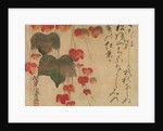 Autumn Ivy, after 1732 by Ogata Kenzan