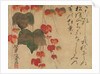 Autumn Ivy, after 1732 by Ogata Kenzan