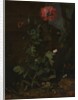 Still Life with Poppy, Insects, and Reptiles, ca. 1670 by Otto Marseus van Schrieck
