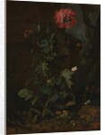 Still Life with Poppy, Insects, and Reptiles, ca. 1670 by Otto Marseus van Schrieck