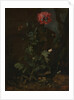 Still Life with Poppy, Insects, and Reptiles, ca. 1670 by Otto Marseus van Schrieck