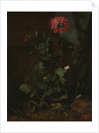 Still Life with Poppy, Insects, and Reptiles, ca. 1670 by Otto Marseus van Schrieck