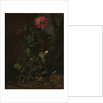 Still Life with Poppy, Insects, and Reptiles, ca. 1670 by Otto Marseus van Schrieck